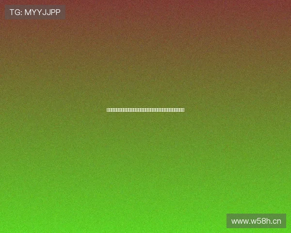 鲸鱼加速器引领网络加速新体验助力稳定高速安全连接畅享全球互联服务